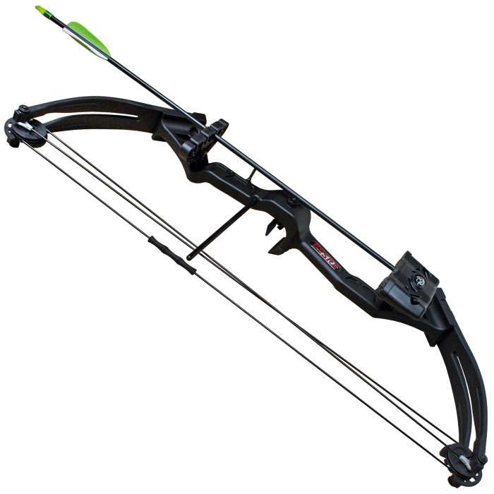 Haller Compoundbogen Set, schwarz, Fiberglas, 68 cm, 25 lbs, mit 2 Pfeilen und Zubehör